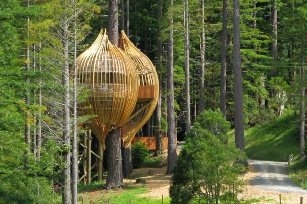 Alnwick Gardens