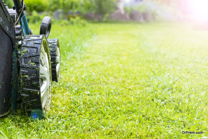 Landscaping-ideas