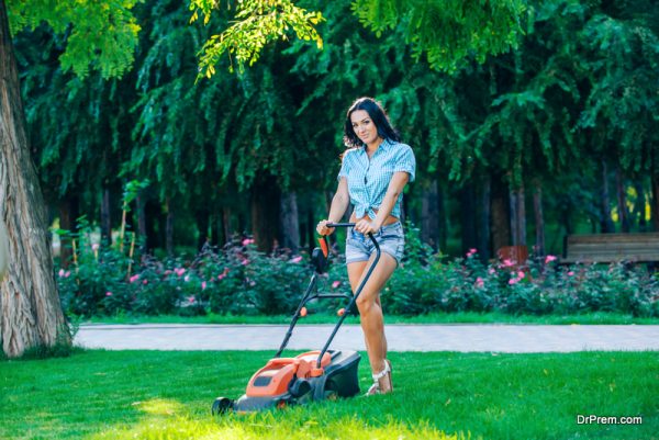 Landscaping-ideas